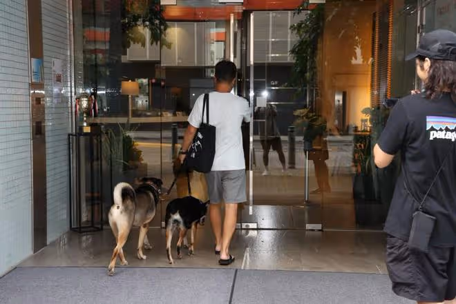黃心穎已登記結婚,戴超大鑽戒秀恩愛,泥鯭化身保鏢全程護妻