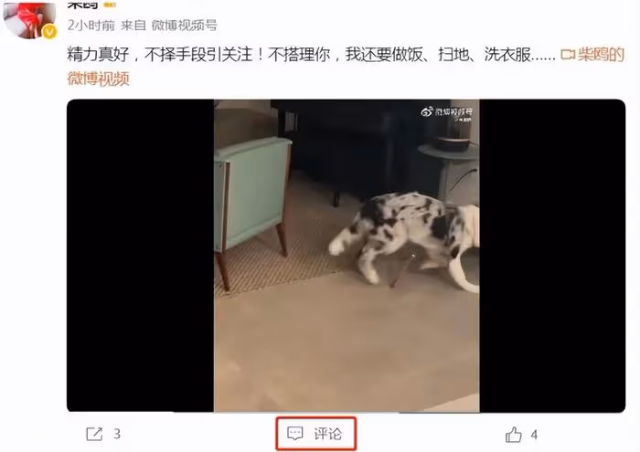 孫菲菲再揭霸凌真相,直指行業黑箱操作,導演妻子不堪壓力關評