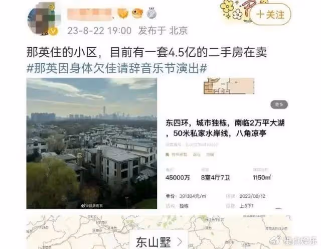 那英突然取消演唱會，緊急拋售4.5億豪宅，網友：那又鳥想飛走？