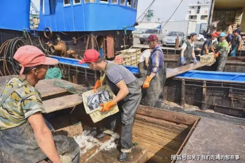 今日開海,4種海魚別錯過,無法人工養殖,都是近海產的,放心吃