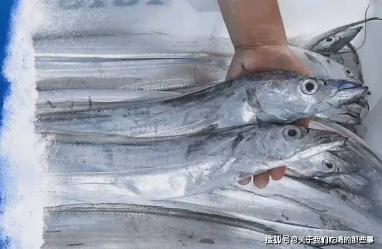 今日開海,4種海魚別錯過,無法人工養殖,都是近海產的,放心吃