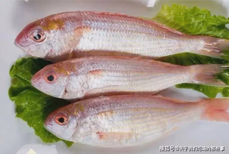 今日開海,4種海魚別錯過,無法人工養殖,都是近海產的,放心吃