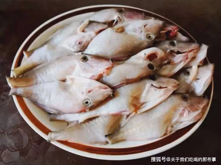 今日開海,4種海魚別錯過,無法人工養殖,都是近海產的,放心吃