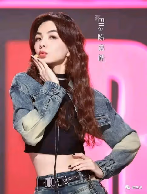 同樣是總冠軍,為什麼王心凌成功翻紅,陳嘉樺卻掀不起水花