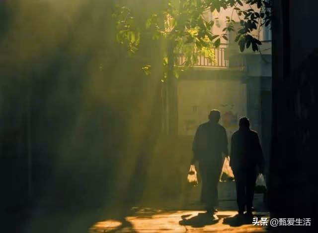 兒子，你弟給我養老三年了，你來接我吧！兒子：接你可以，先算帳