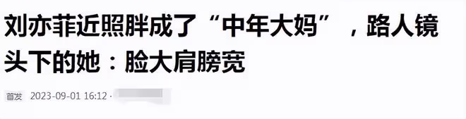 劉亦菲林更新機場照,女方穿超短裙被嘲大象腿,代言日品立場存疑