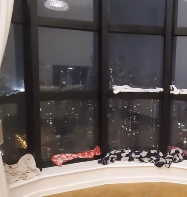 颱風襲港眾藝人豪宅受災,蔡卓妍家徹夜漏水,TVB小花家變水簾洞
