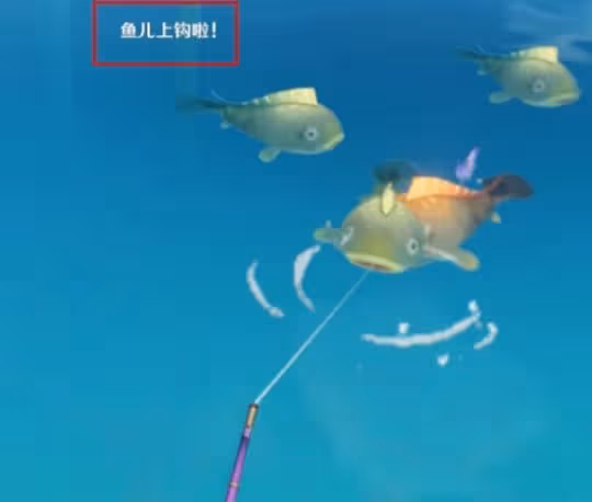 白金典藏型怎麼抓？白金典藏型抓取方法