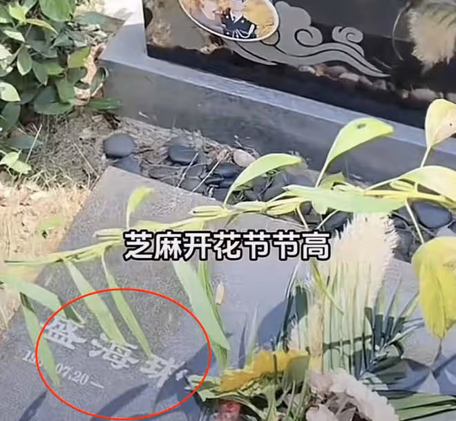盛海琳帶雙胎女兒給丈夫掃墓，墳頭長出一棵芝麻樹，寓意引人落淚
