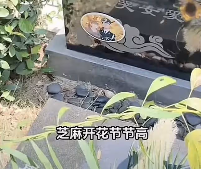 盛海琳帶雙胎女兒給丈夫掃墓，墳頭長出一棵芝麻樹，寓意引人落淚