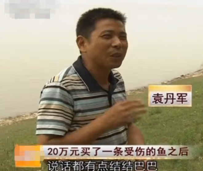 2008年湖北男子被發小出賣破產,3年後他靠一條天價魚狂賺一個億