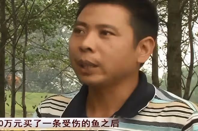 2008年湖北男子被發小出賣破產,3年後他靠一條天價魚狂賺一個億