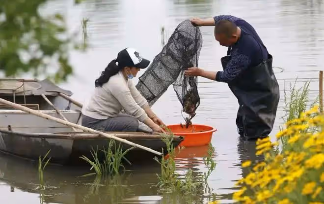 2008年湖北男子被發小出賣破產,3年後他靠一條天價魚狂賺一個億