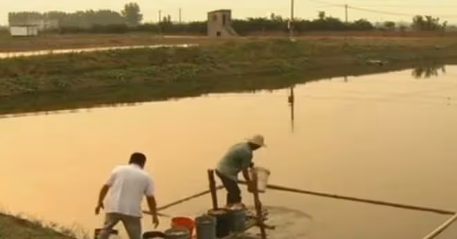 2008年湖北男子被發小出賣破產,3年後他靠一條天價魚狂賺一個億