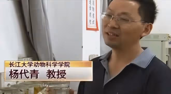 2008年湖北男子被發小出賣破產,3年後他靠一條天價魚狂賺一個億