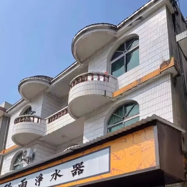 回顧女強人得絕症,整天生不如死,雇閨蜜男友殺自己被騙走救命錢