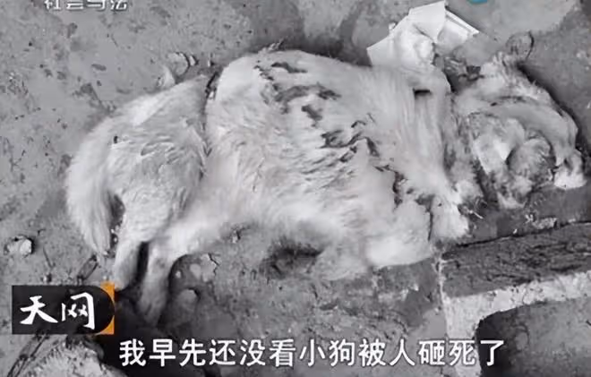 回顧懷孕妻子被4人玷污8小時,丈夫門口目睹全程,後被殺拋屍山洞