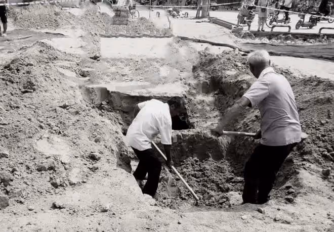 1968年老農挖地窖突遇毒蛇，正要揮鋤猛砸，卻發現毒蛇一動不動