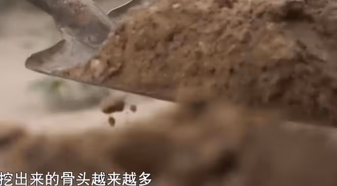 1999年,河北男子失蹤,19年後父母改造旱廁,挖出了他的屍體