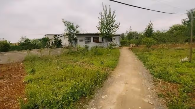 回顧山東四人輪流性侵新婚孕婦,涉案人員中還有未成年,猶如惡魔