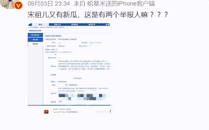 宋祖兒再度被舉報?稅務風波害慘任嘉倫,《無憂渡》項目被曝停止
