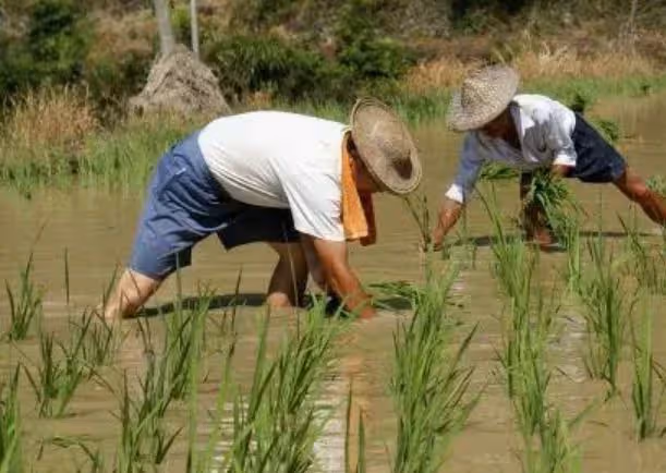 2014年,一四川算命先生被人當街刺死,兇手:誰讓他算得那麼准