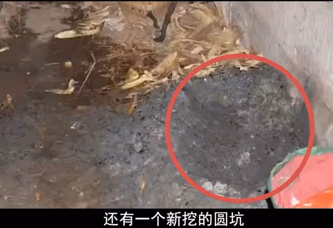 2018年,囂張死刑犯當庭怒懟法官,用咒語攻擊警察,最後傻眼了