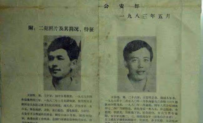 東北二王逃亡6省7個月，三萬軍警將其剿滅，死前卻大喊我是好人