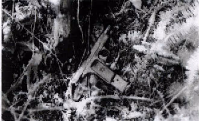 東北二王逃亡6省7個月，三萬軍警將其剿滅，死前卻大喊我是好人