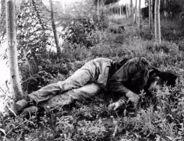 東北二王逃亡6省7個月，三萬軍警將其剿滅，死前卻大喊我是好人