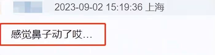 趙露思最新時尚大片,從肉鼻變小翹鼻,被網友質疑醫美了