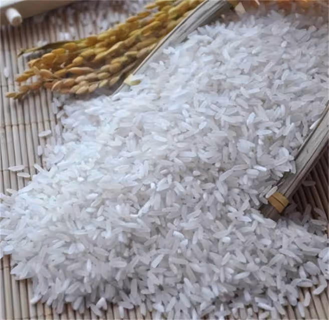 秈米和粳米哪個煮飯好吃?秈米和粳米,哪種煮飯更美味?