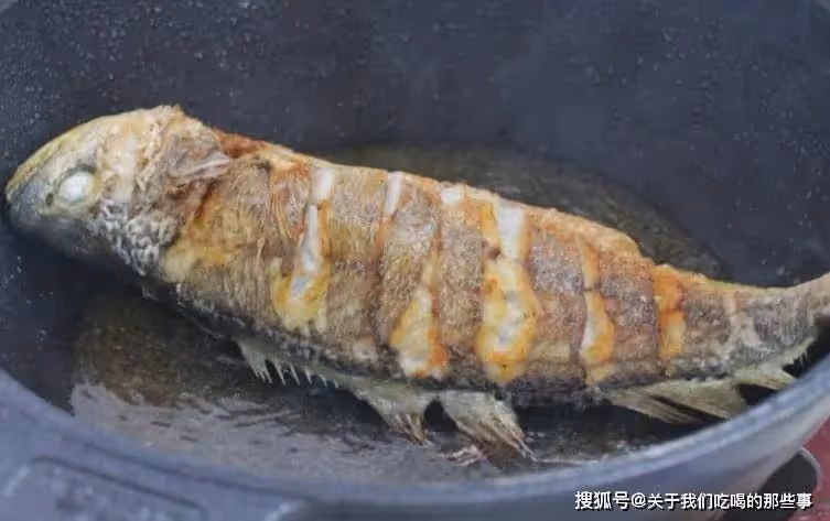 秋天抓緊吃魚,蛋白質是豬肉2倍,營養好吃不貴,老少皆宜不怕胖