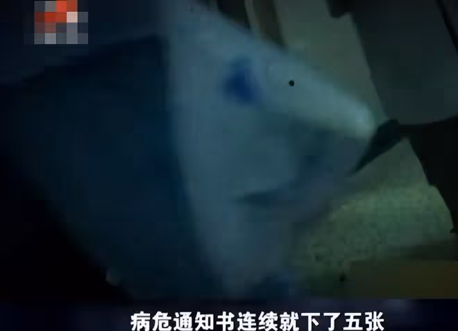 1988年，武漢女子生下腦癱兒遭丈夫拋棄，28年後兒子考上北京大學