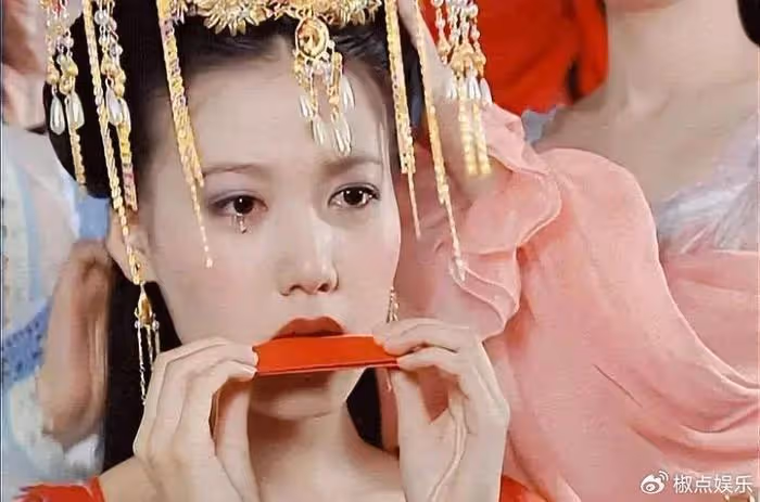 神似高圓圓,婉拒蘇有朋,當紅時隱婚生子,35歲憑「惡妾」翻紅