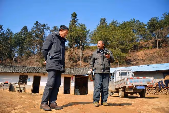 2015年,男子辭職回深山造10000米圍欄「圈山養羊」,現是賺是賠