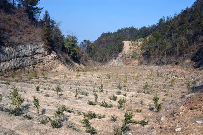 2015年,男子辭職回深山造10000米圍欄「圈山養羊」,現是賺是賠