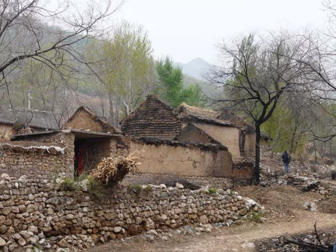 2015年,男子辭職回深山造10000米圍欄「圈山養羊」,現是賺是賠