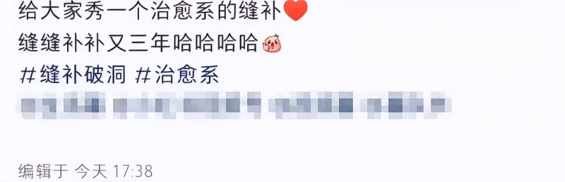 王石夫婦參觀日企引非議,大讚環保、質檢程序,評論區卻罵聲一片