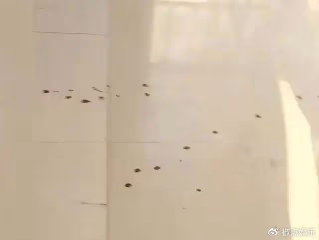 洛陽理工學院命案後續:2死2傷的悲劇背後讓人擔憂,馬加爵第二