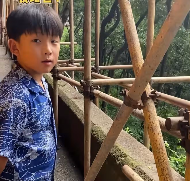 何潔一家五口出遊,兒子陽光帥氣女兒漂亮軟萌,三個娃都像媽媽