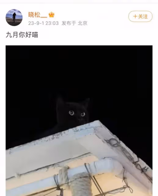 53歲高曉松近況曝光!剪短髮臉暴瘦變化大,蹭熱度曬自拍想復出