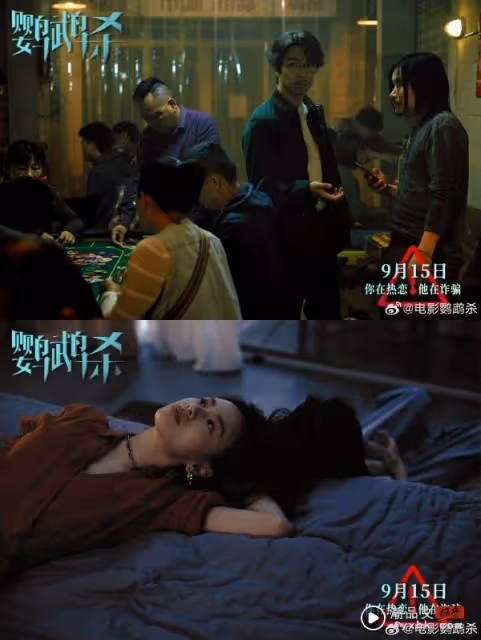 詐騙三部曲來襲!周冬雨、章宇主演《鸚鵡殺》定檔9月底馬來西亞上映!