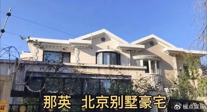 那英無懼罵聲，再上綜藝撈金，全程自嗨大笑，風浪再大也擋不住賺錢