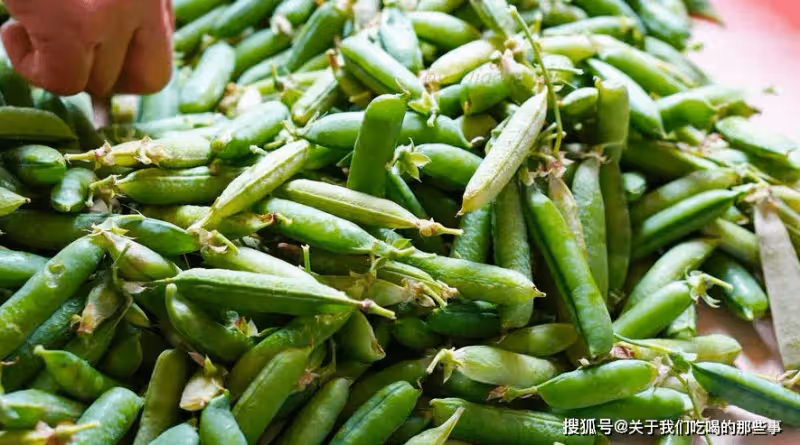保存豌豆別再焯水了,教你一招,放一年也飽滿鮮嫩,不縮水不發黃