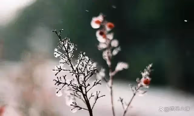 父母送全款陪嫁房，男友退婚：我不當冤大頭，房產證只寫你父母名