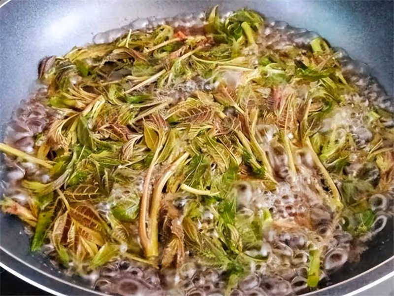 香椿芽到底要不要焯水?很多人都沒搞明白,難怪總感覺差點意思