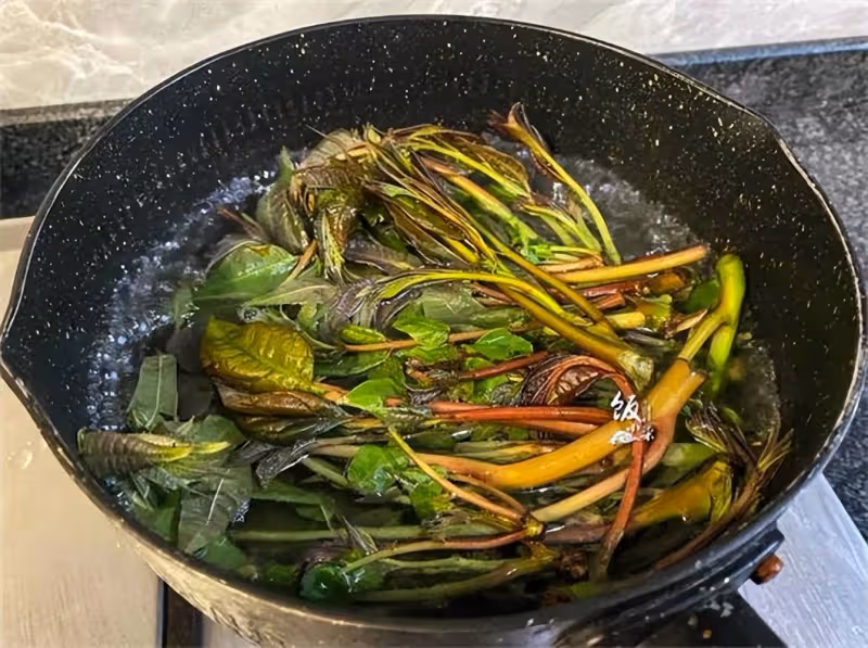 香椿芽到底要不要焯水?很多人都沒搞明白,難怪總感覺差點意思