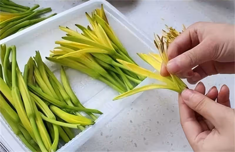 新鮮黃花別亂吃，處理不當吃了對身體不好，大廚教你正確處理方法