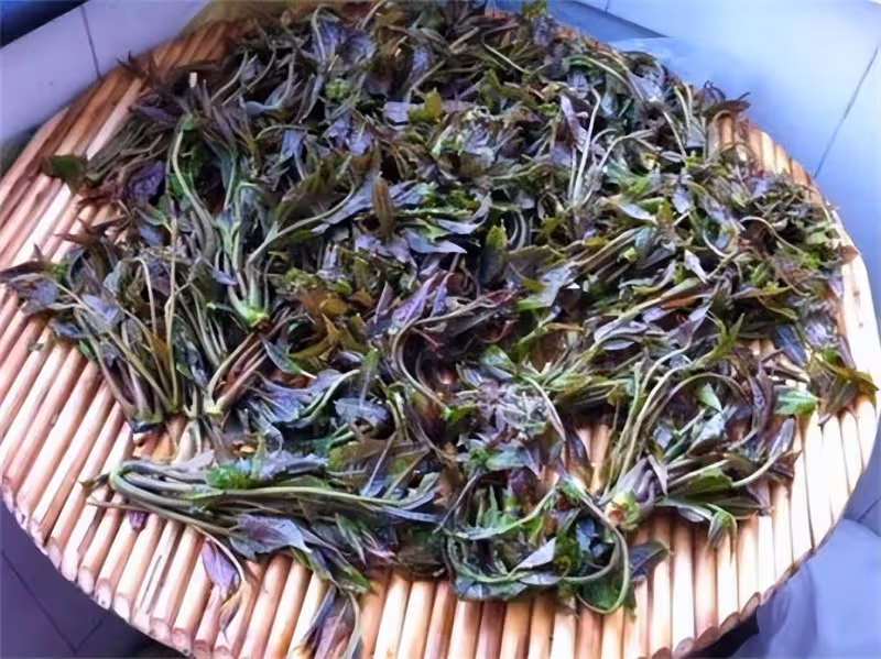 香椿應該生腌還是熟腌?哪種食用方法更好吃呢?